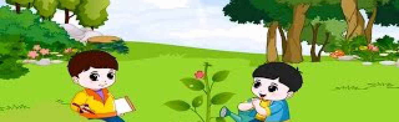 Banner Slider 3